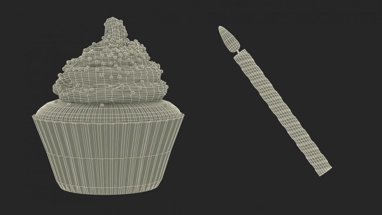 Birthday Cupcake and Candle 3D