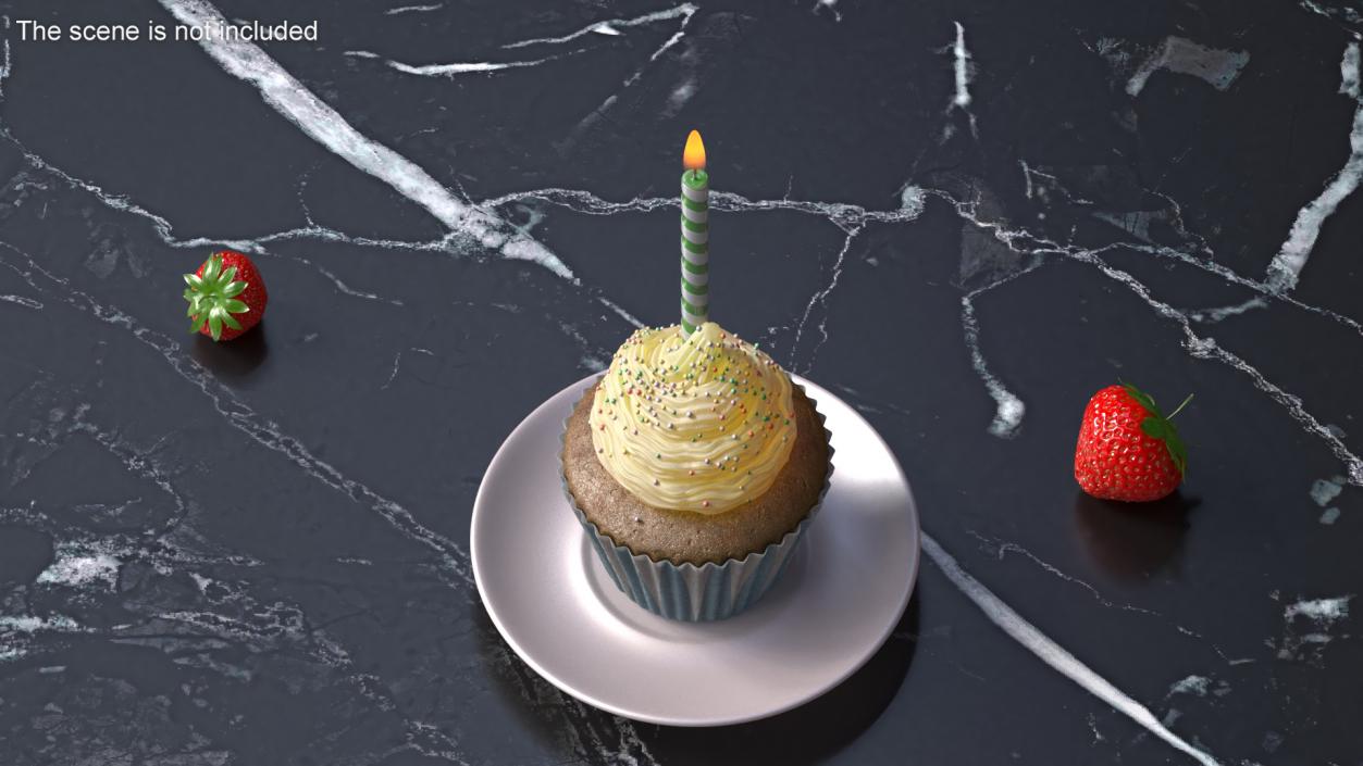 Birthday Cupcake and Candle 3D