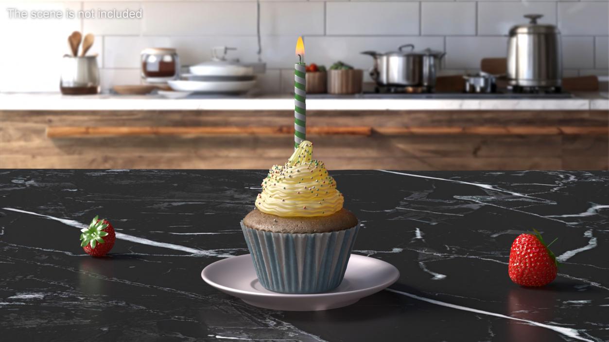 Birthday Cupcake and Candle 3D