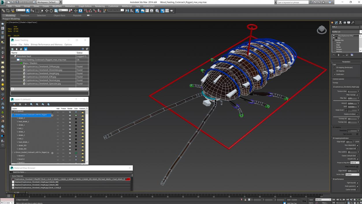 Wood Feeding Cockroach Rigged 3D model