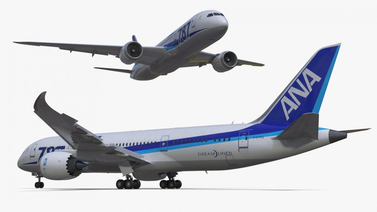 3D Boeing 787-8 Dreamliner ANA Livery Rigged