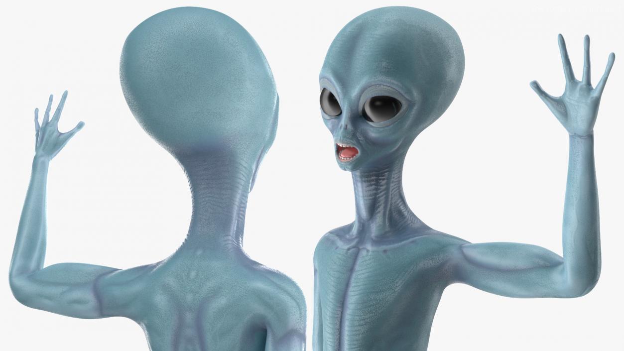 3D Space Alien with UFO Rigged Collection model