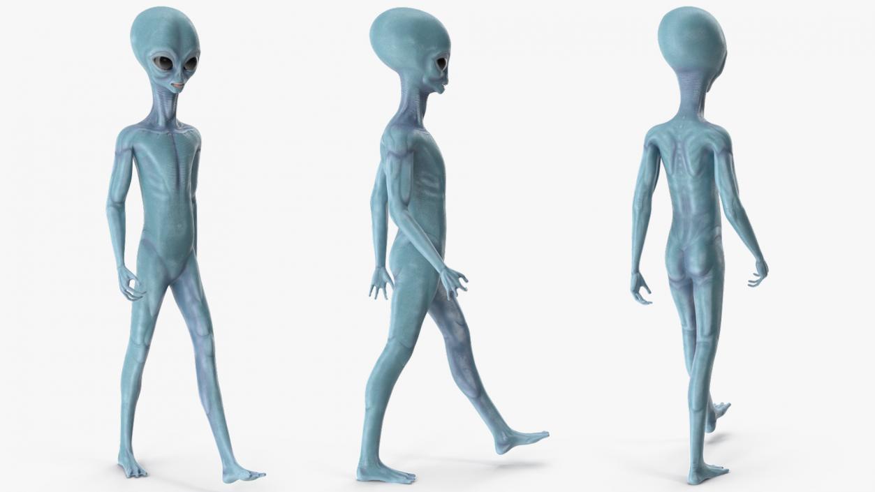 3D Space Alien with UFO Rigged Collection model