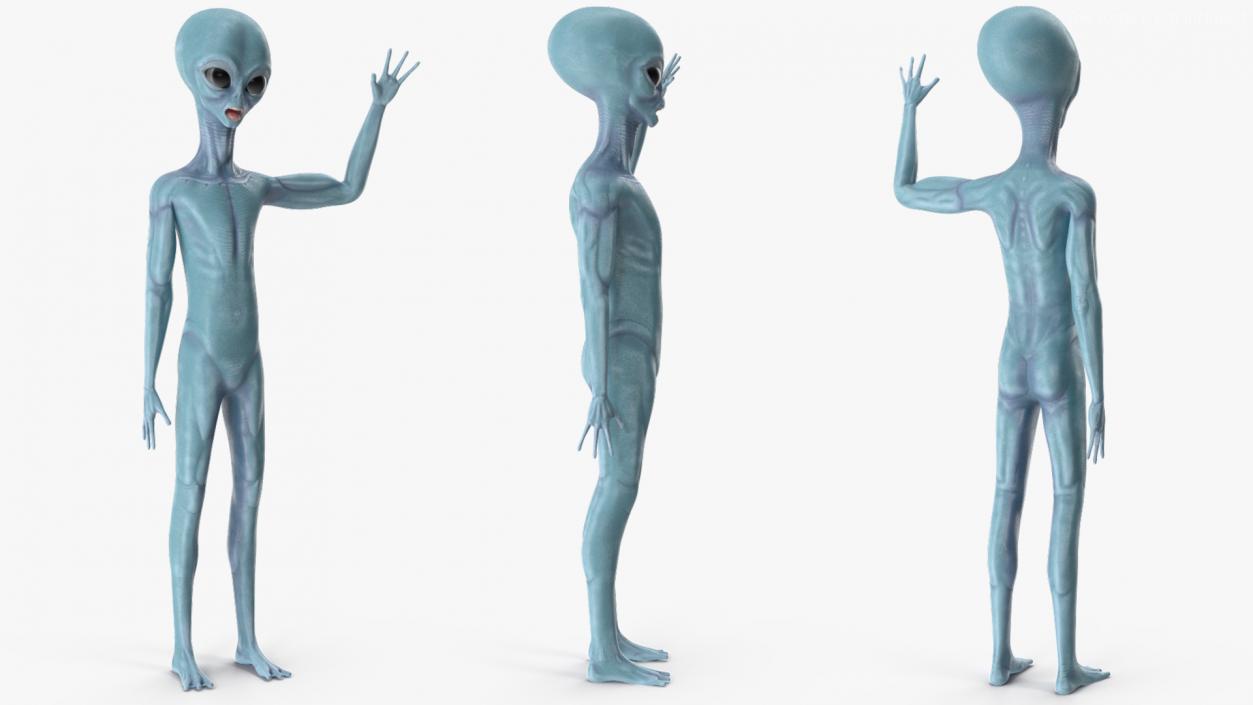 3D Space Alien with UFO Rigged Collection model