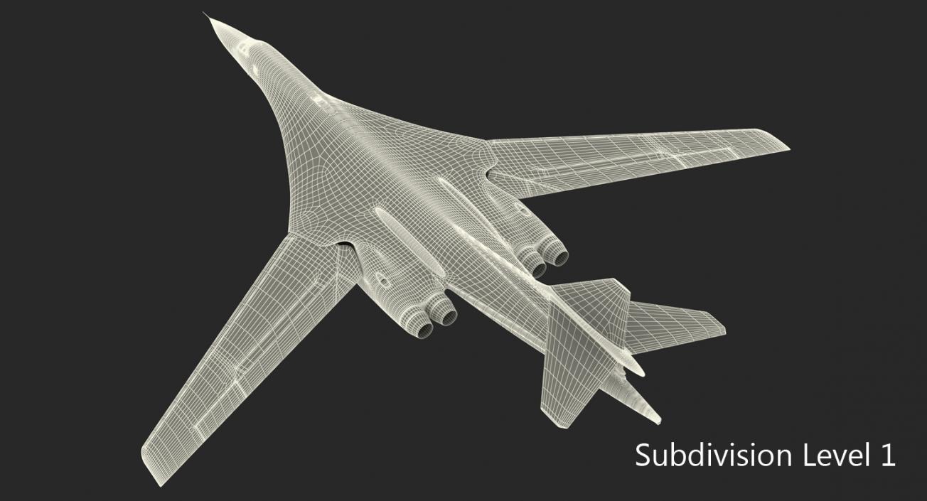 3D Strategic Bomber Tupolev Tu-160 Blackjack