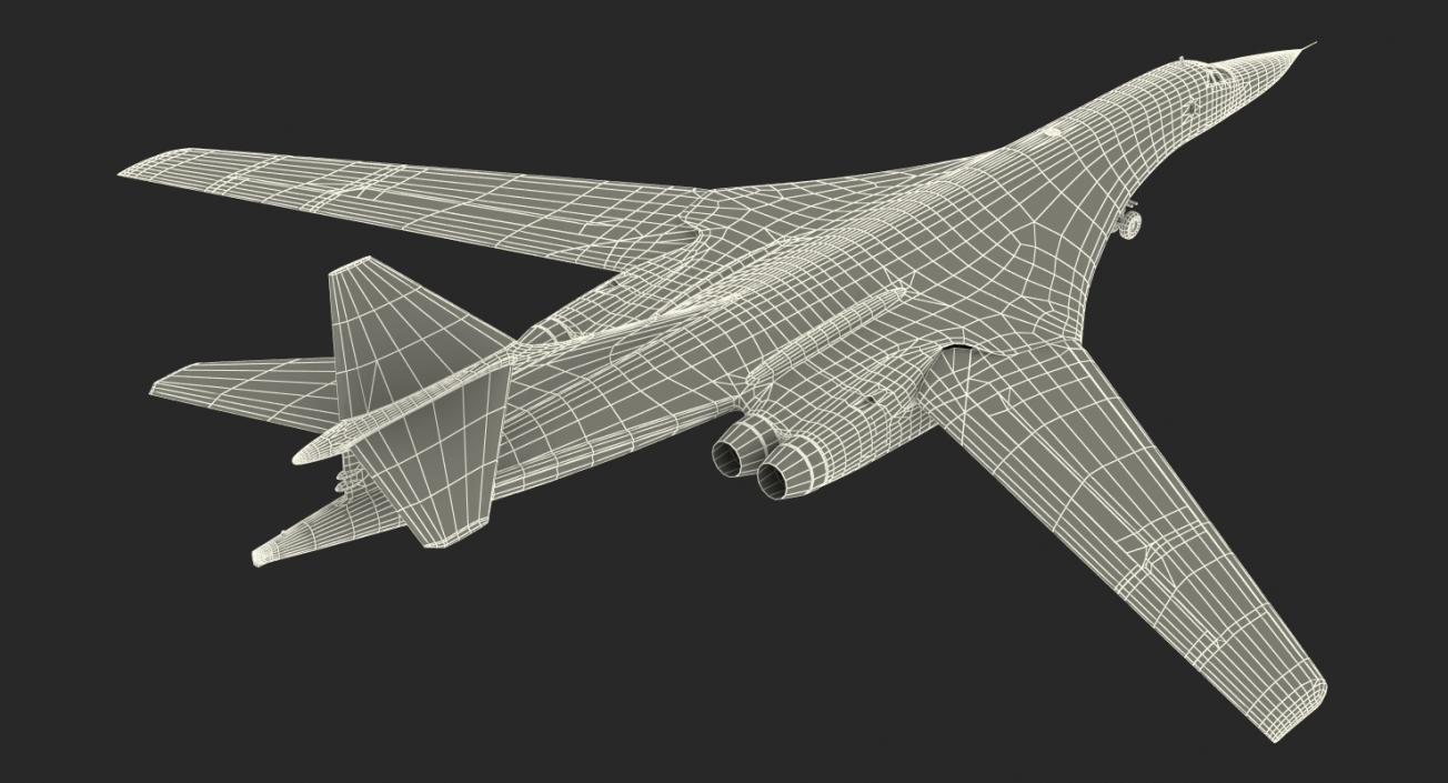 3D Strategic Bomber Tupolev Tu-160 Blackjack