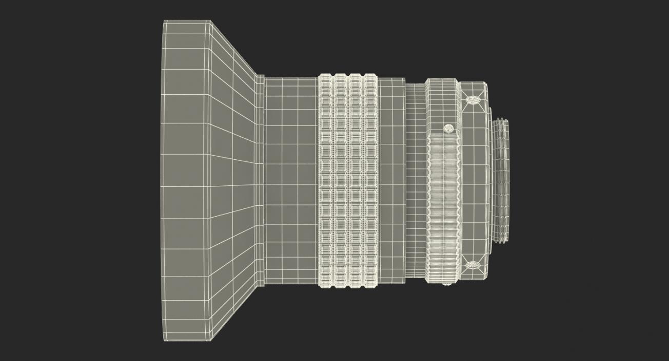 Camera Lens With Hood Generic 3D model