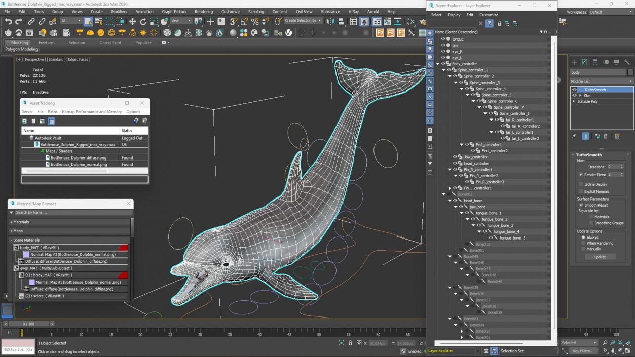 3D model Bottlenose Dolphin Rigged