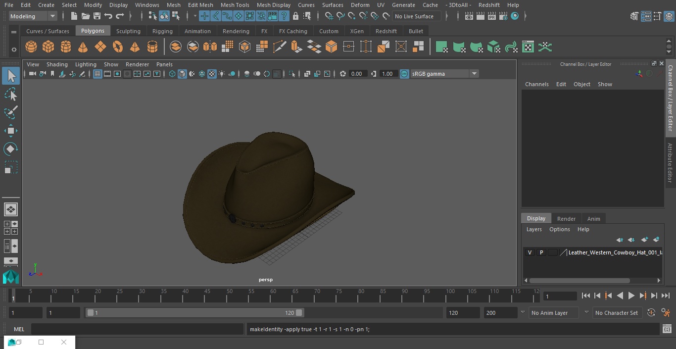 3D Leather Western Cowboy Hat