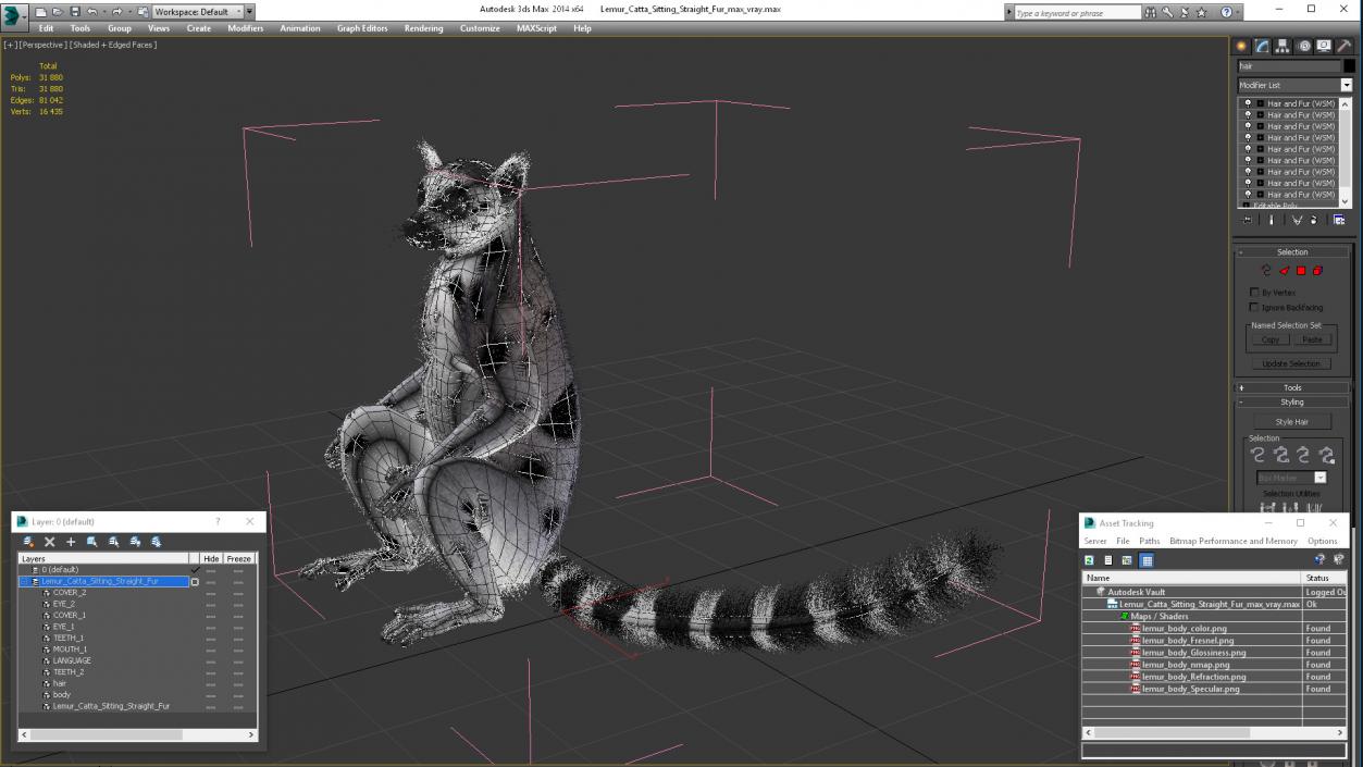 Lemur Catta Sitting Straight Fur 3D