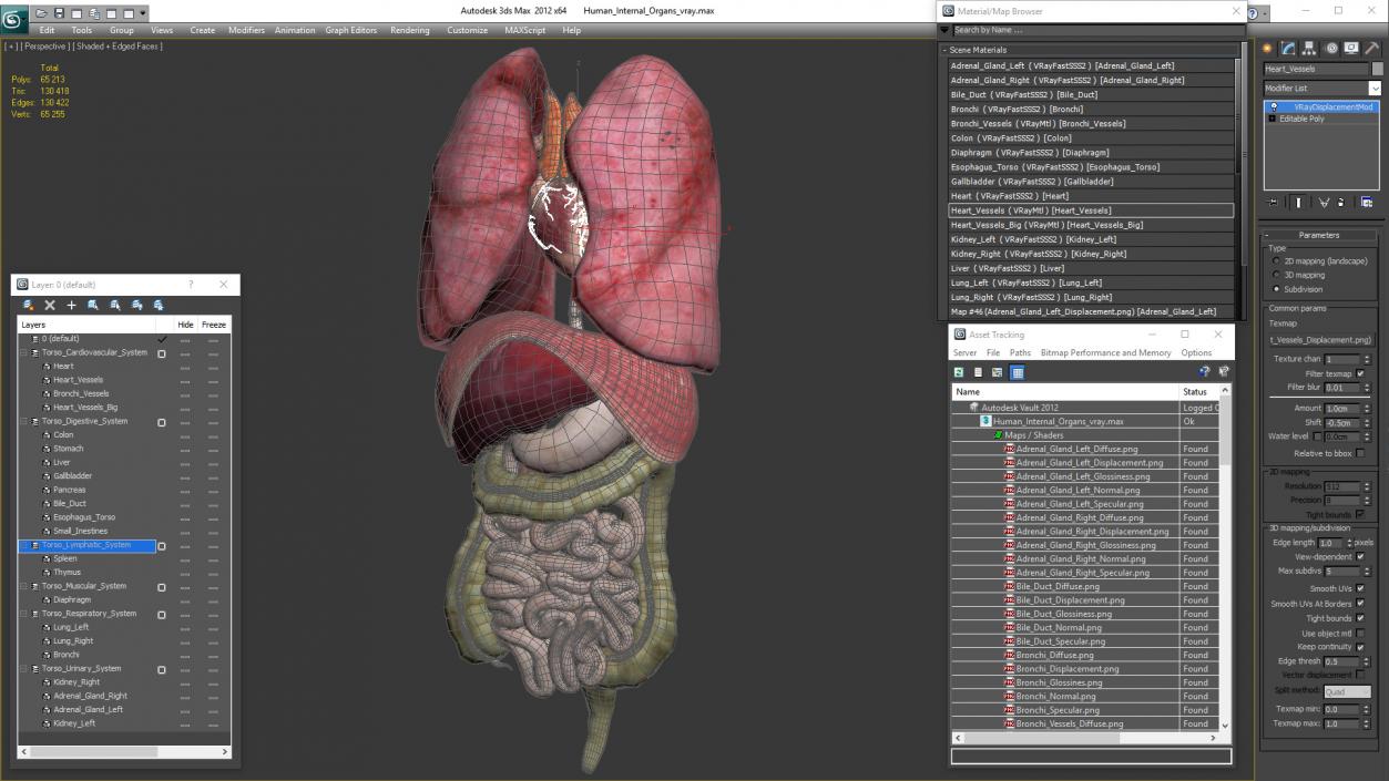 3D Human Internal Organs