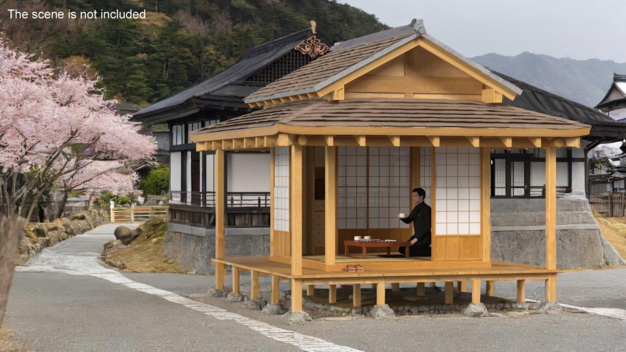 3D model Japanese Man Having Tea in Traditional Tea House 2