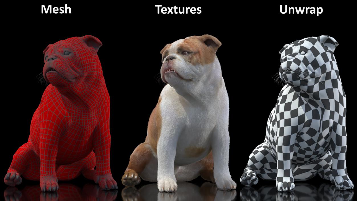 Bulldog Sitting Up Fur 3D