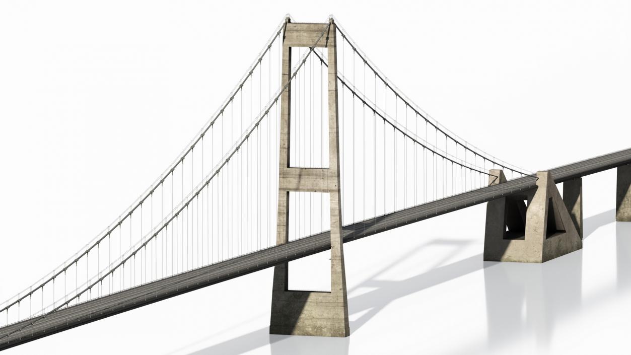 3D Suspension Great Belt Bridge model