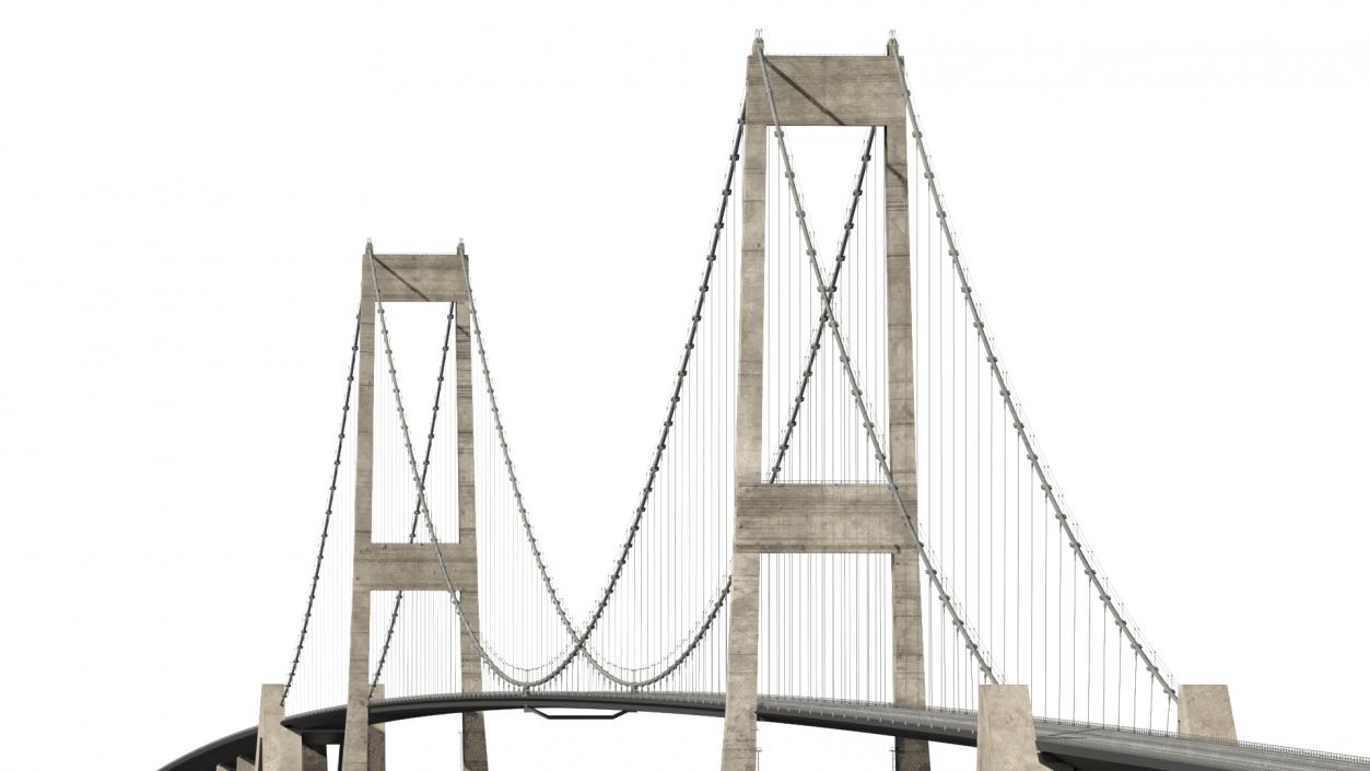 3D Suspension Great Belt Bridge model