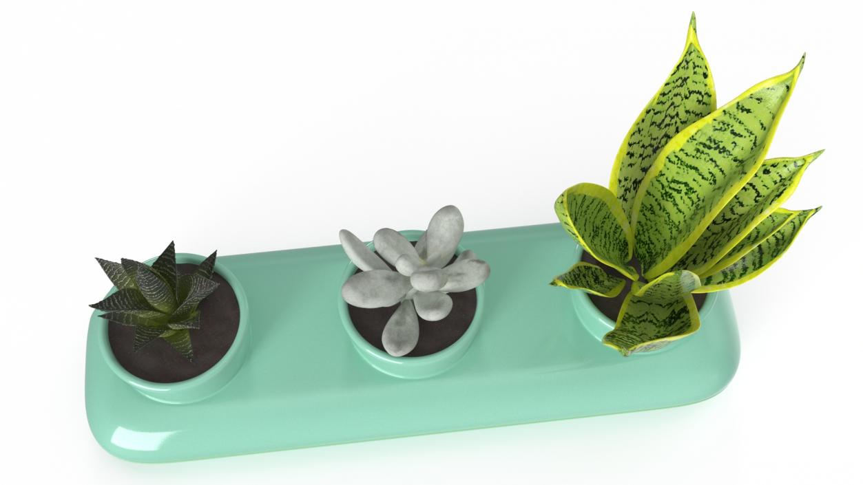 Trio Fresh Herb Pot Sagaform Green 3D model