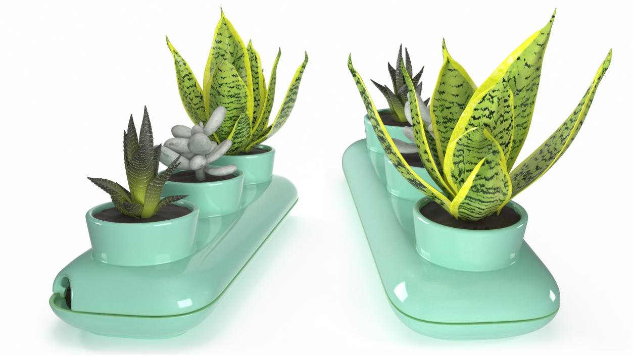 Trio Fresh Herb Pot Sagaform Green 3D model