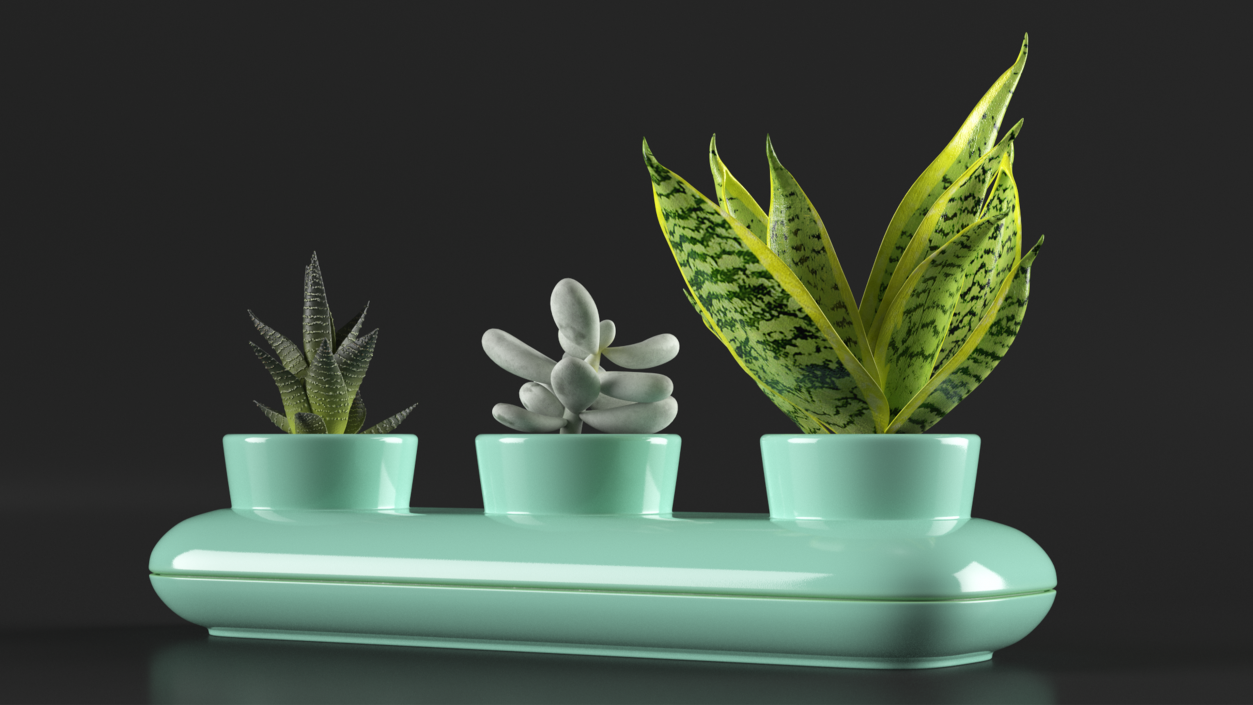 Trio Fresh Herb Pot Sagaform Green 3D model