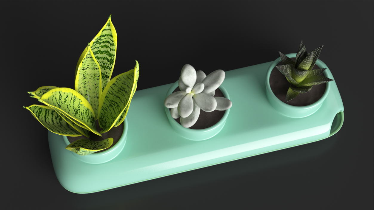 Trio Fresh Herb Pot Sagaform Green 3D model