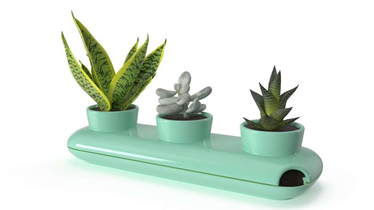 Trio Fresh Herb Pot Sagaform Green 3D model