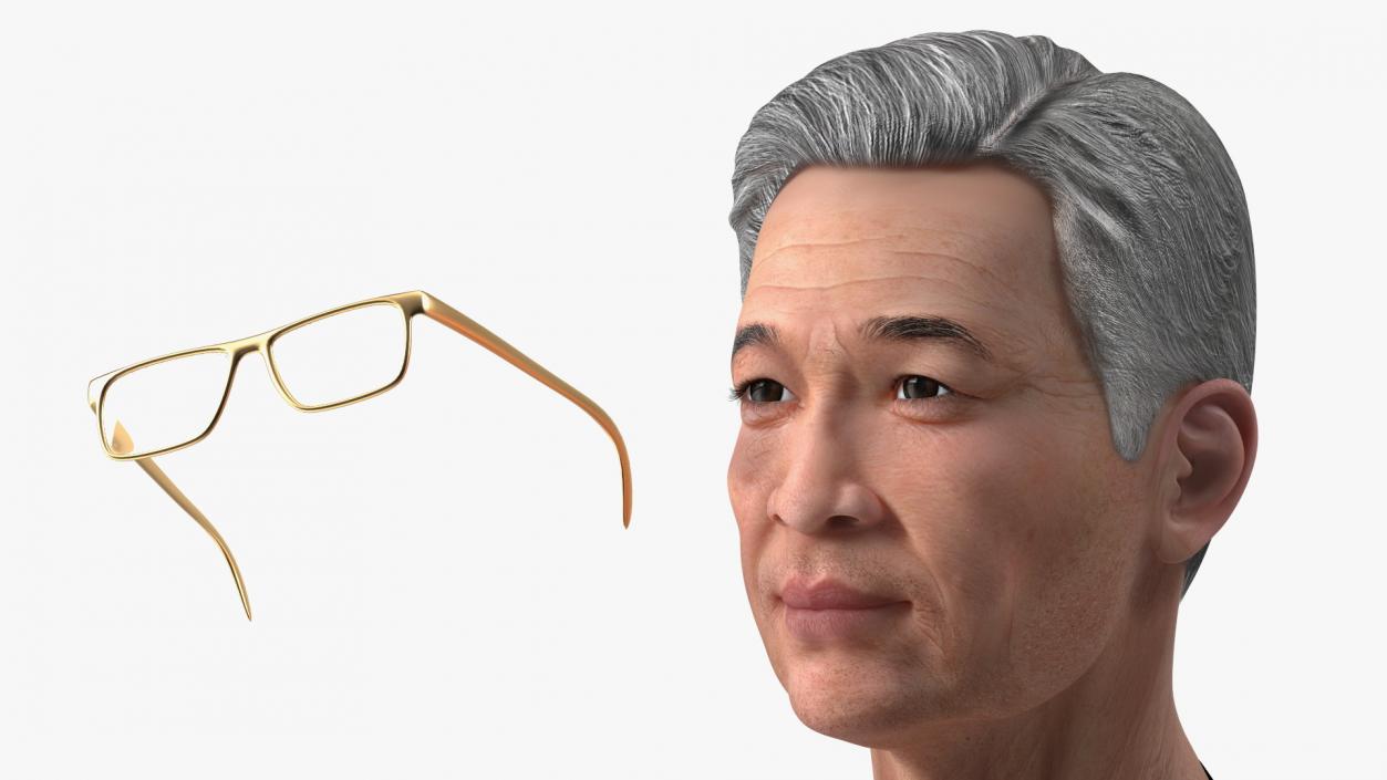 Asian Old Aged Man Head Wearing Glasses 3D model