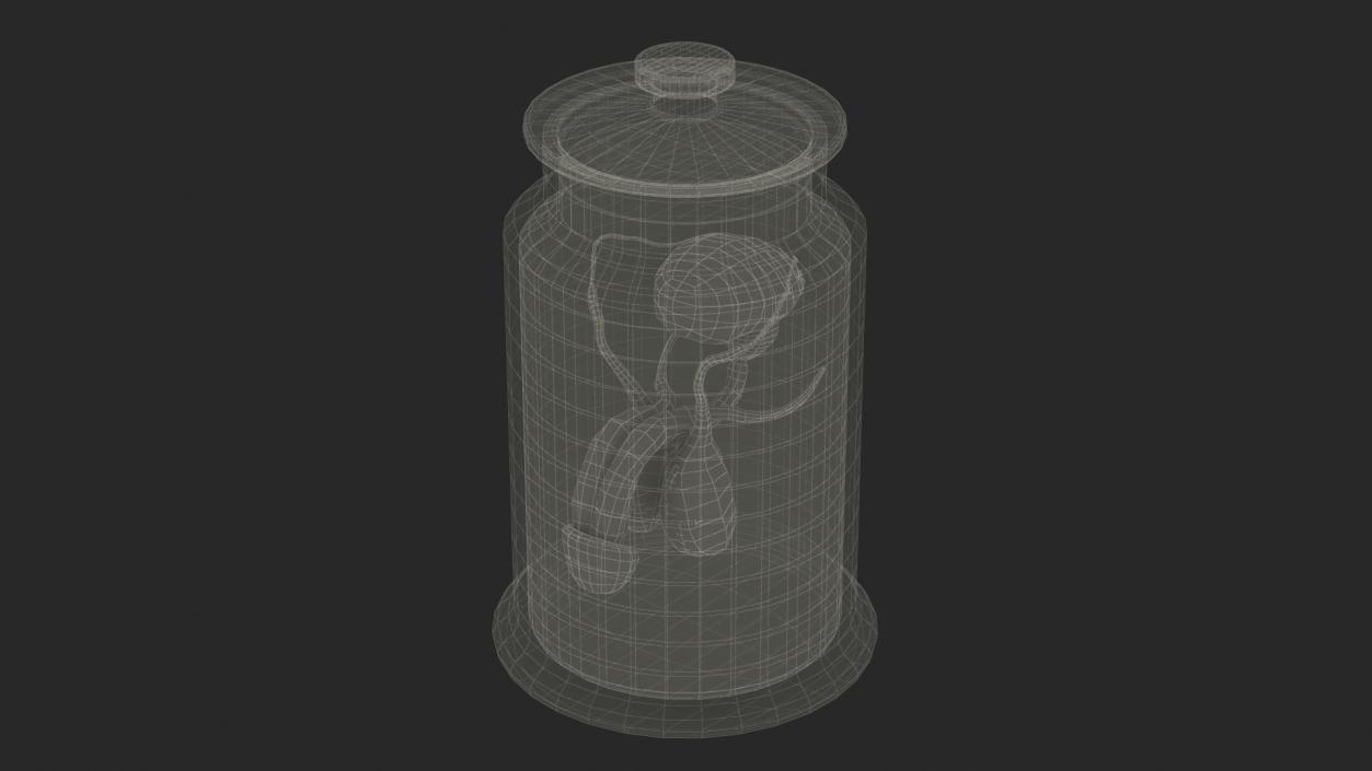 Male Genitalia in Glass Jar 3D