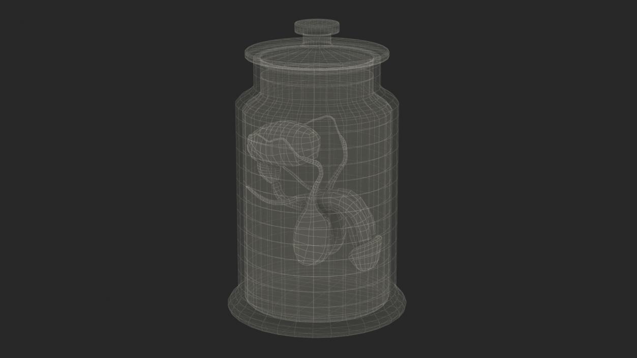 Male Genitalia in Glass Jar 3D