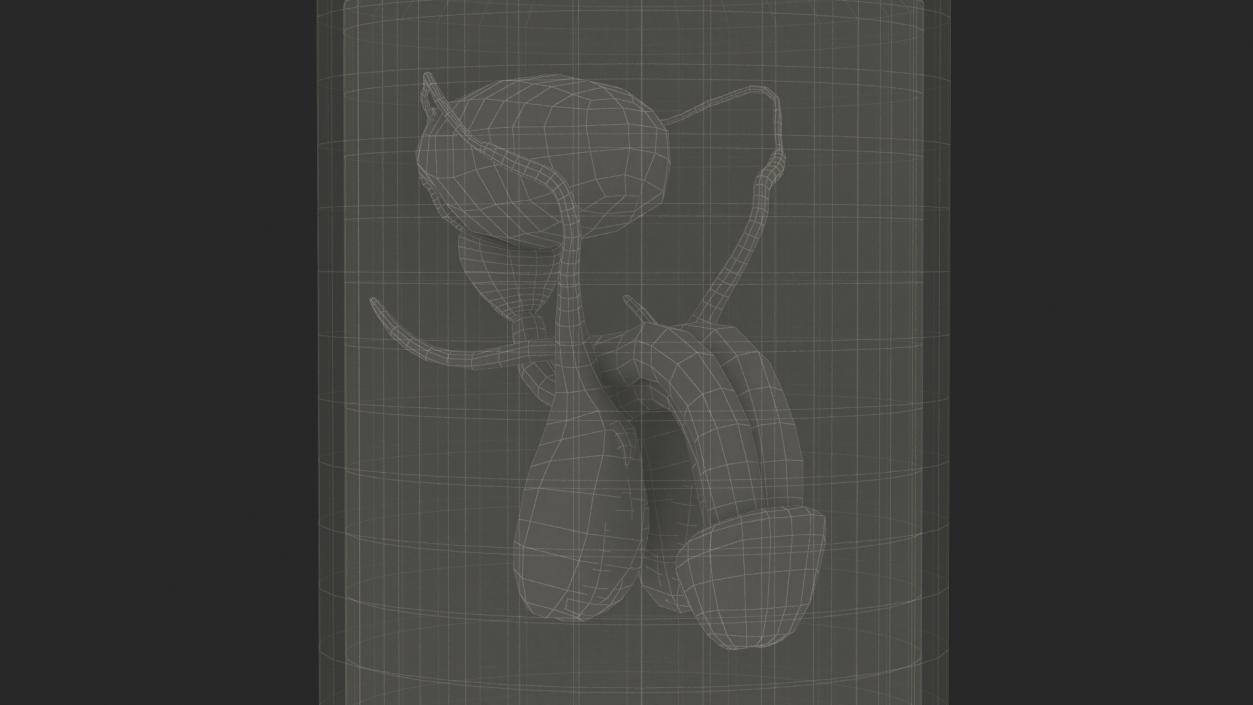 Male Genitalia in Glass Jar 3D