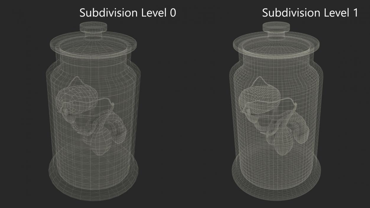 Male Genitalia in Glass Jar 3D