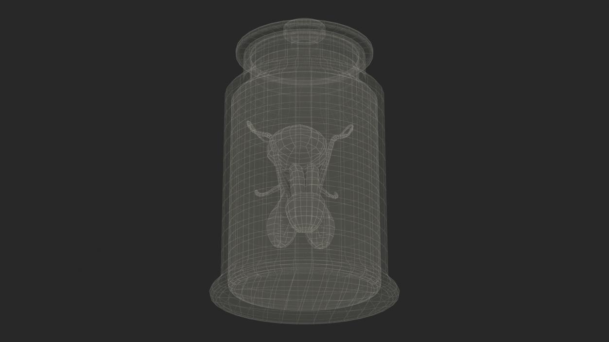 Male Genitalia in Glass Jar 3D