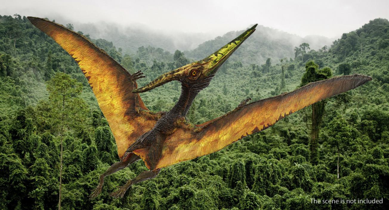 Pteranodon Flying Carnivorous Reptile Flying Pose 3D model