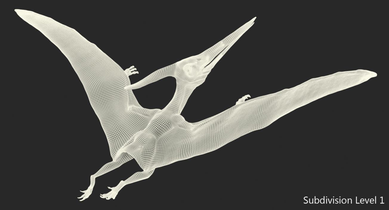 Pteranodon Flying Carnivorous Reptile Flying Pose 3D model