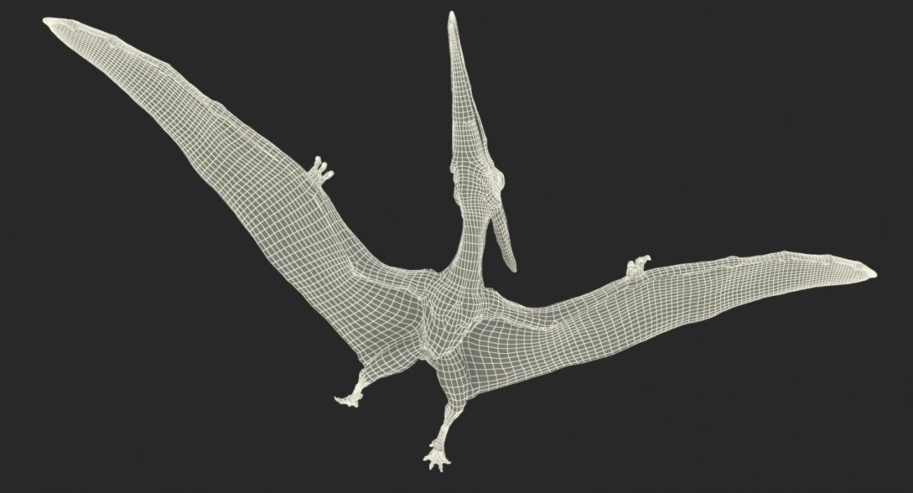 Pteranodon Flying Carnivorous Reptile Flying Pose 3D model