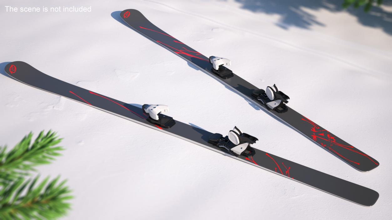 3D Snow Skis 4