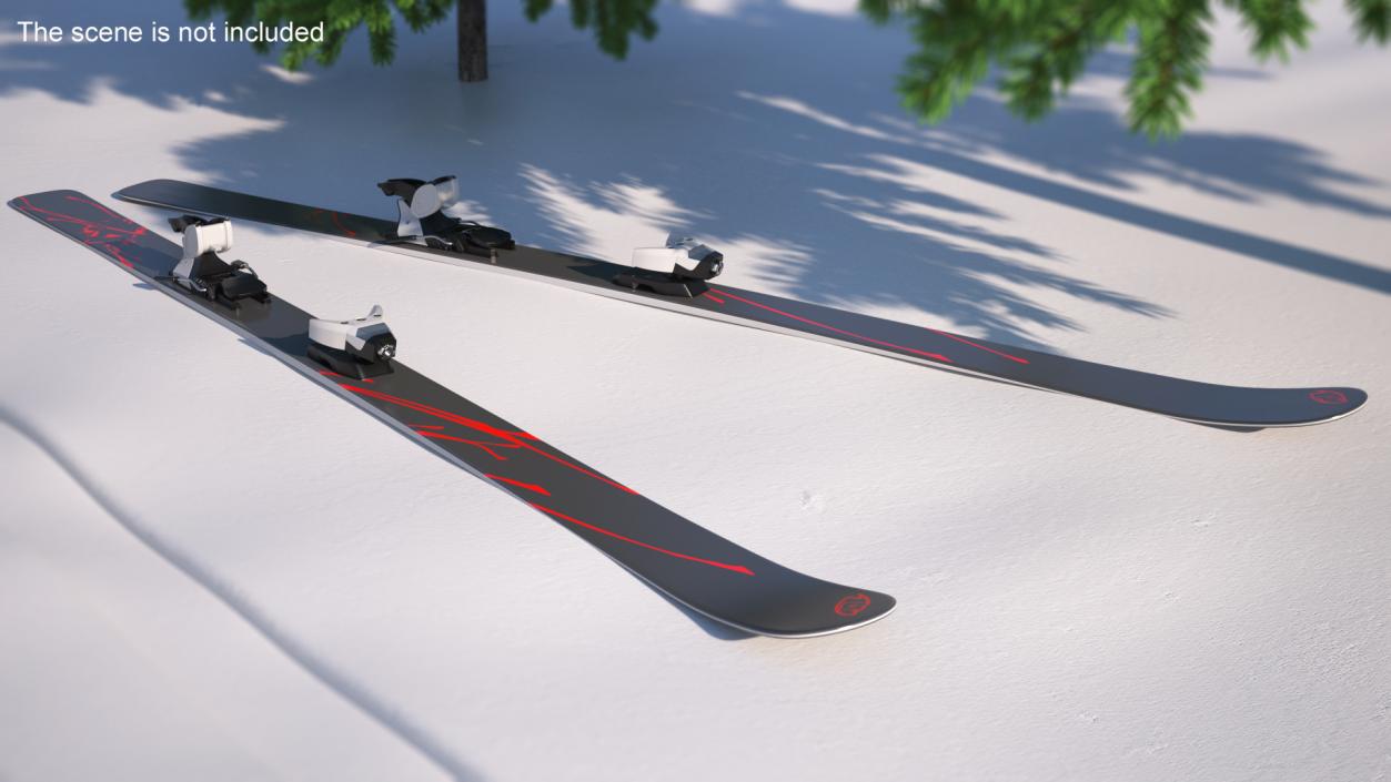 3D Snow Skis 4