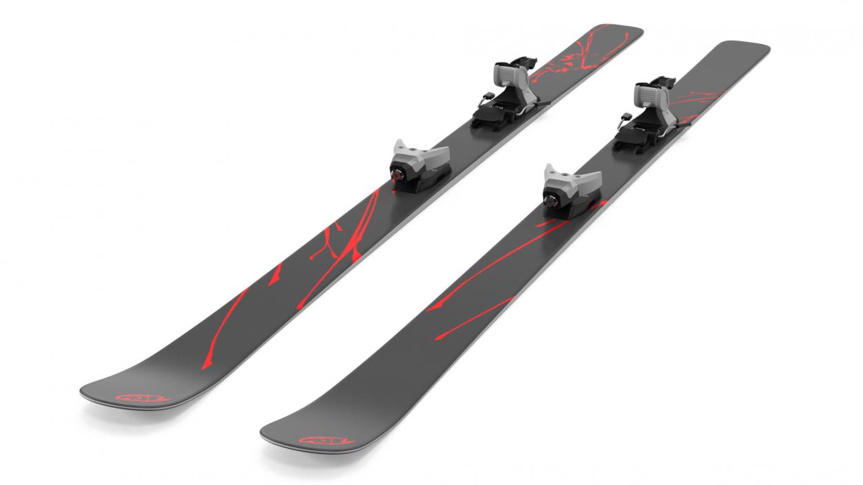 3D Snow Skis 4