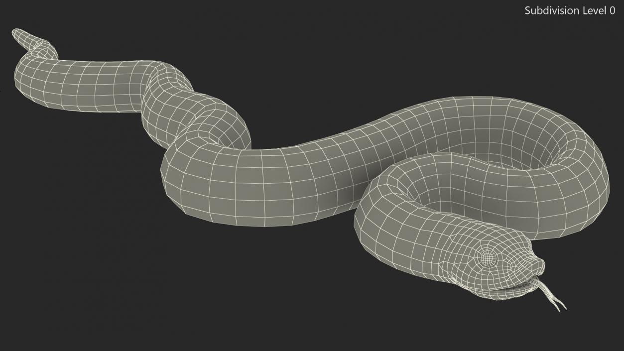 3D Brown Hognose Snake Coiled Pose