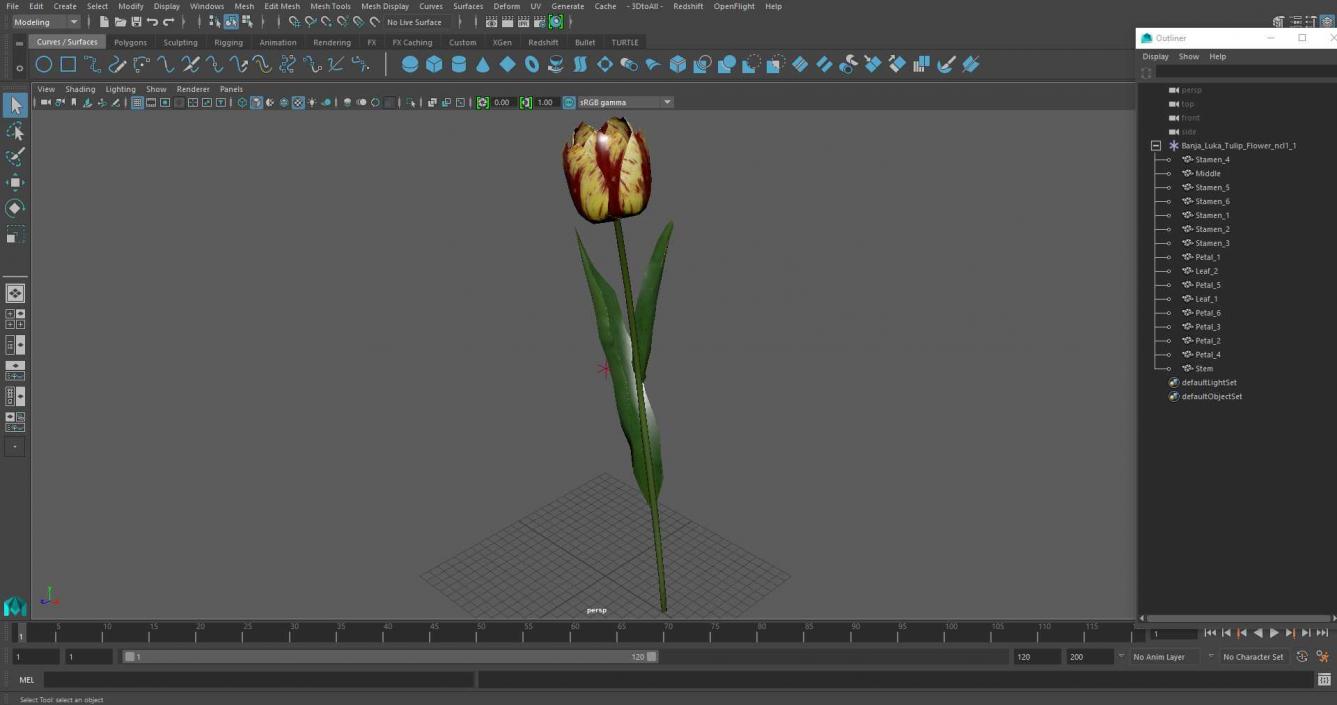 3D Banja Luka Tulip Flower model