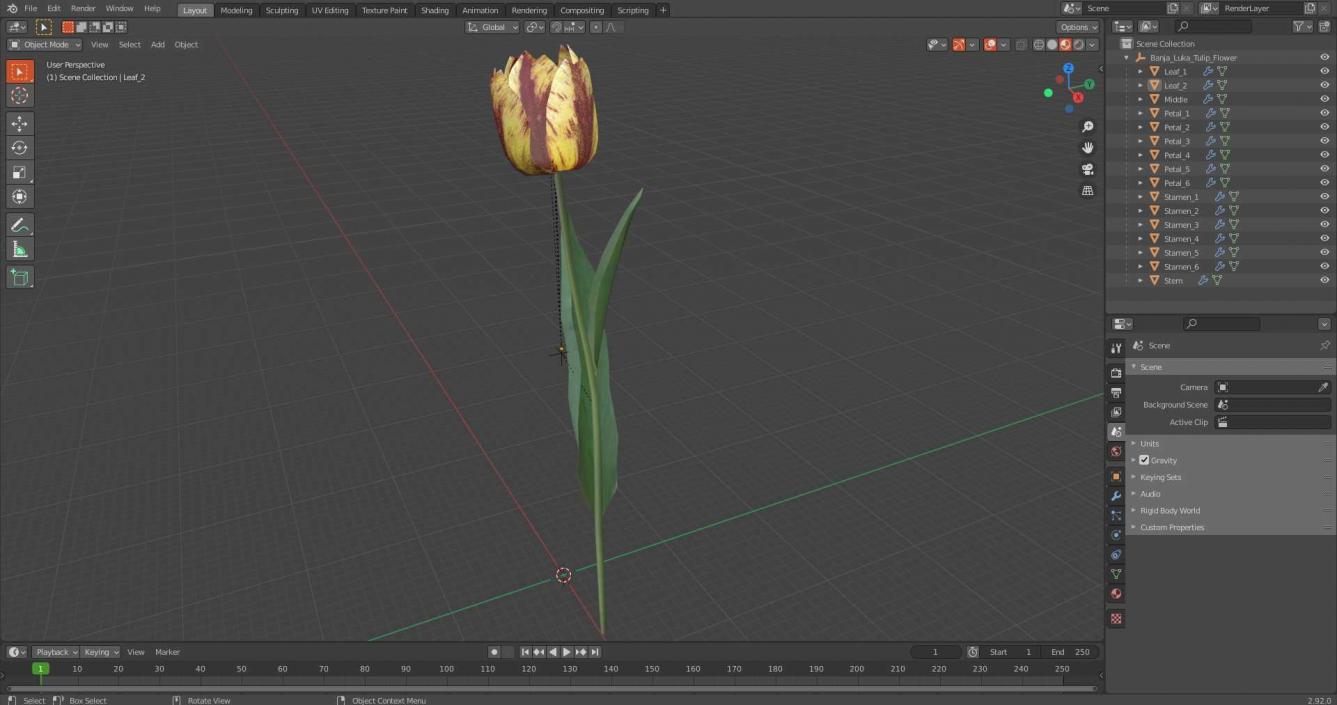 3D Banja Luka Tulip Flower model