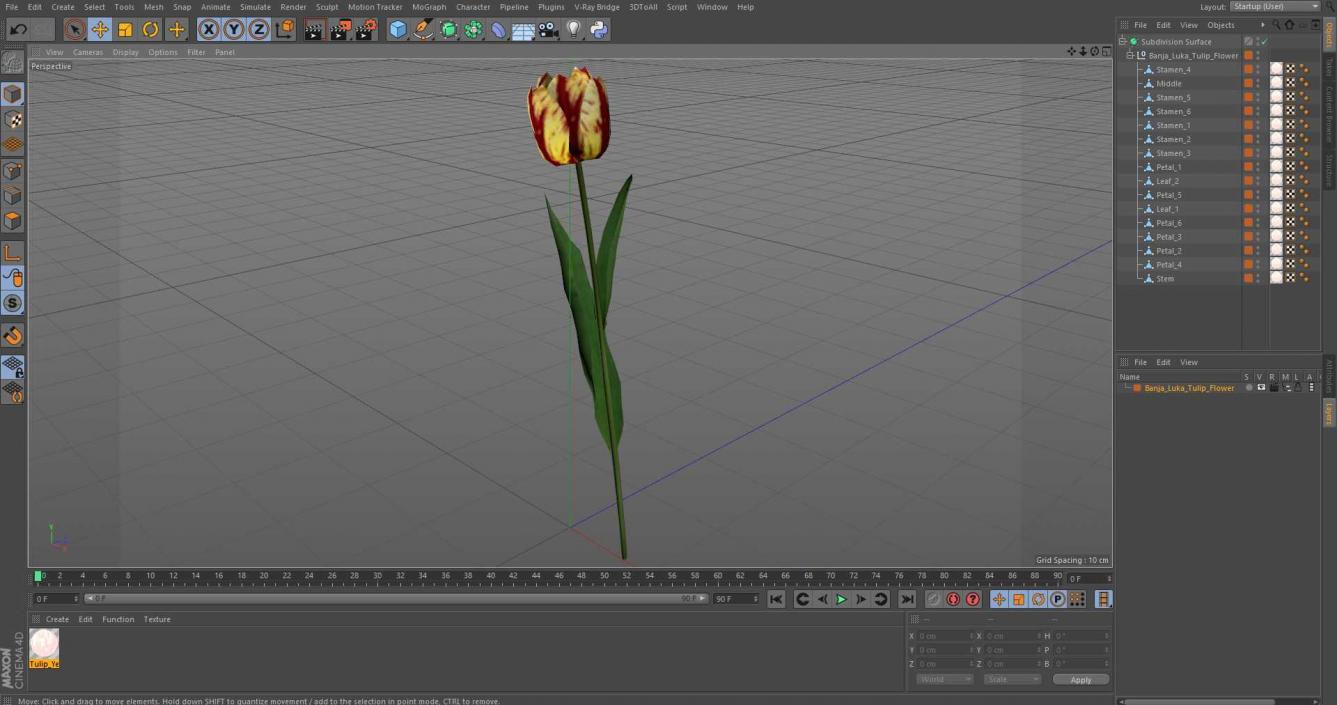 3D Banja Luka Tulip Flower model