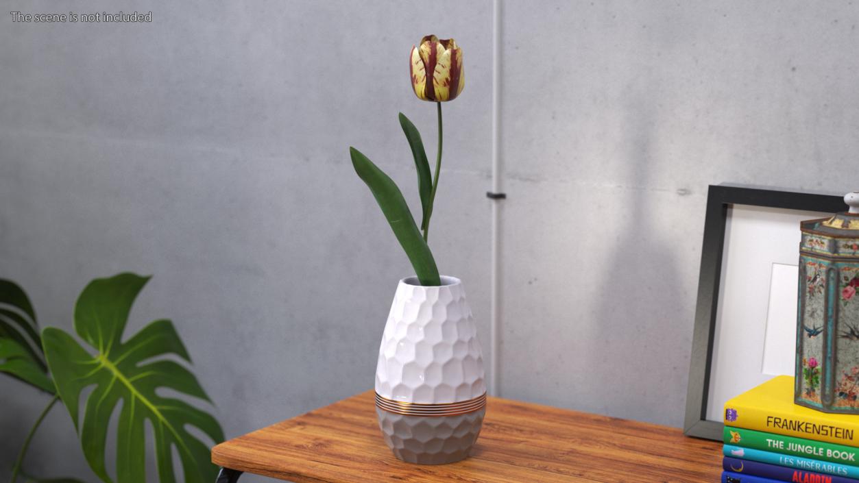 3D Banja Luka Tulip Flower model