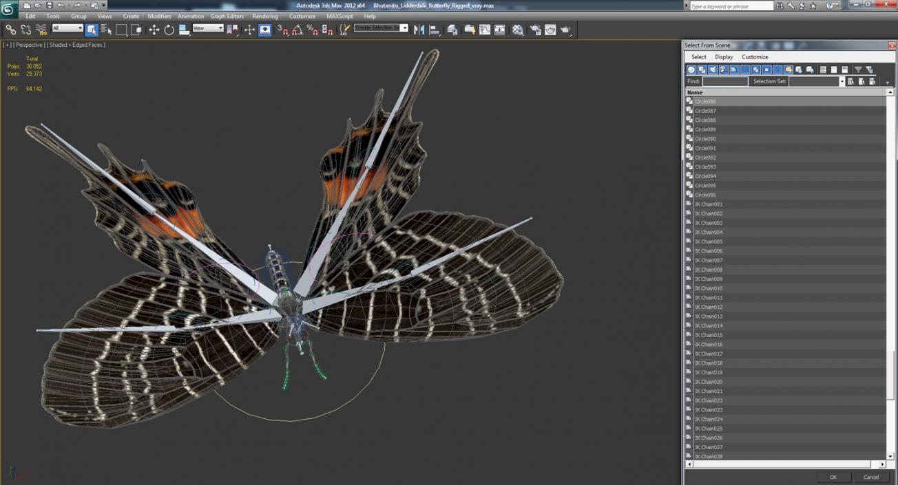 Bhutanitis Lidderdalii Butterfly Rigged 3D model