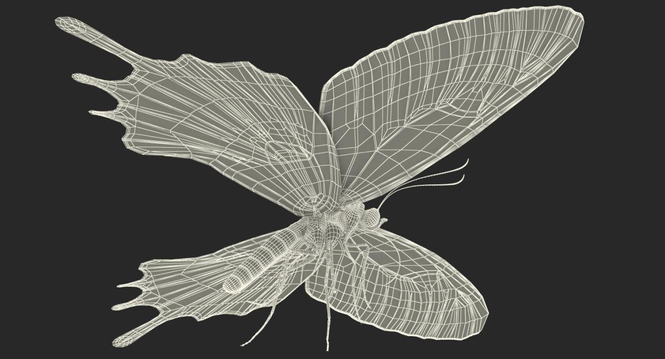 Bhutanitis Lidderdalii Butterfly Rigged 3D model