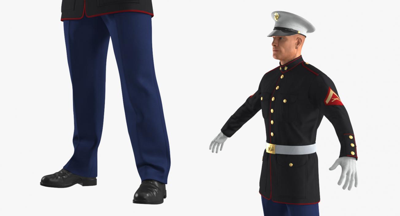 3D US Marine Corps Soldier in Parade Uniform