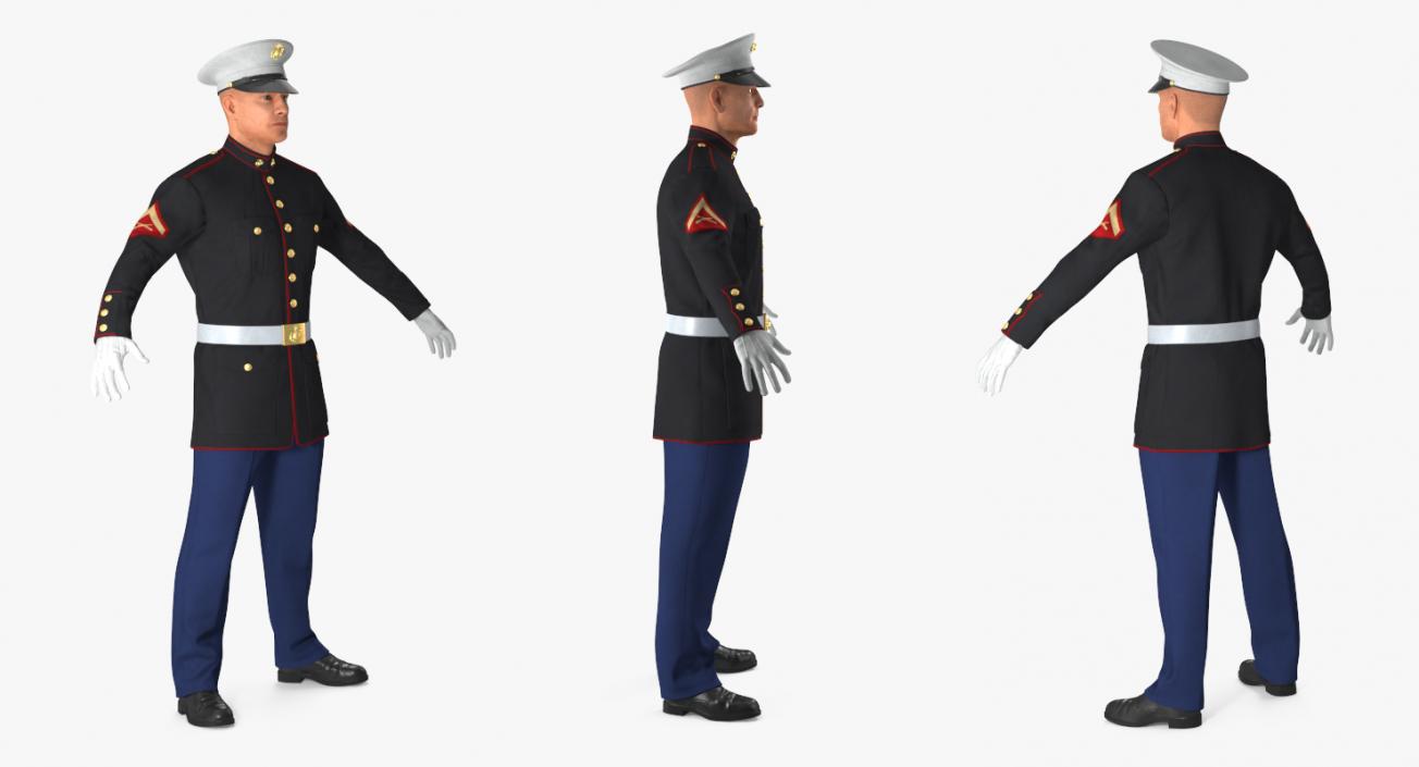 3D US Marine Corps Soldier in Parade Uniform