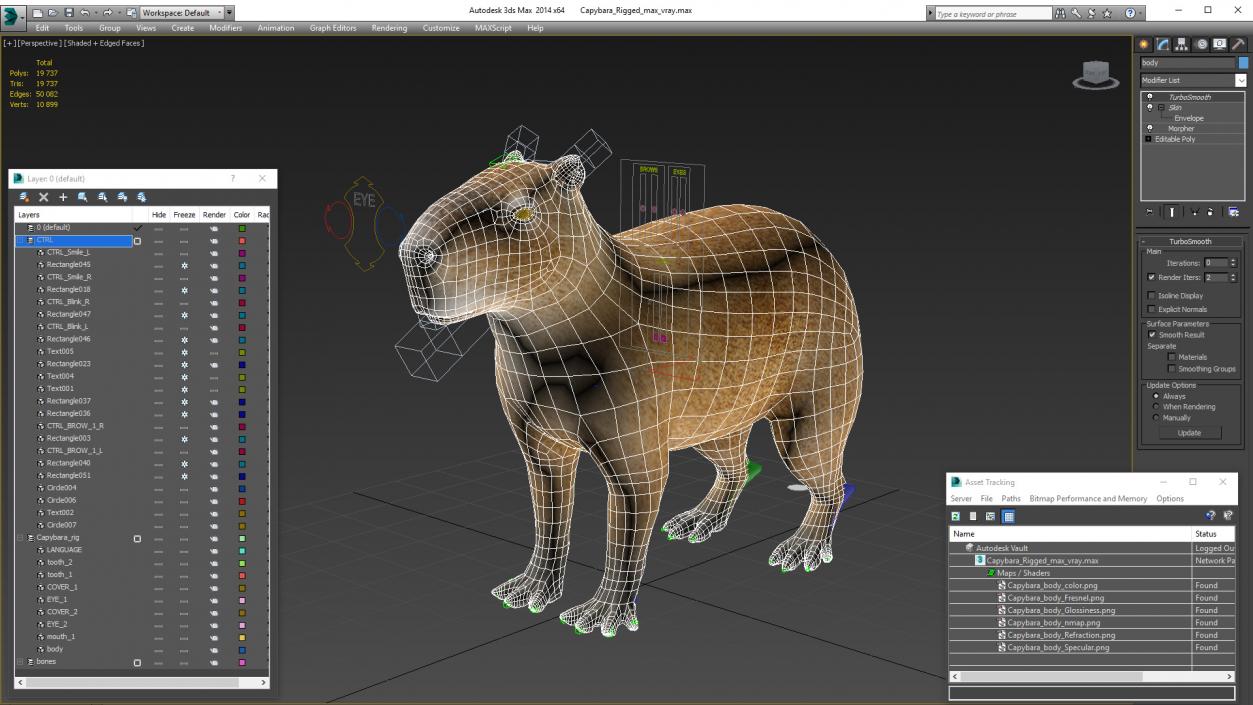 Capybara Rigged for Modo 3D model