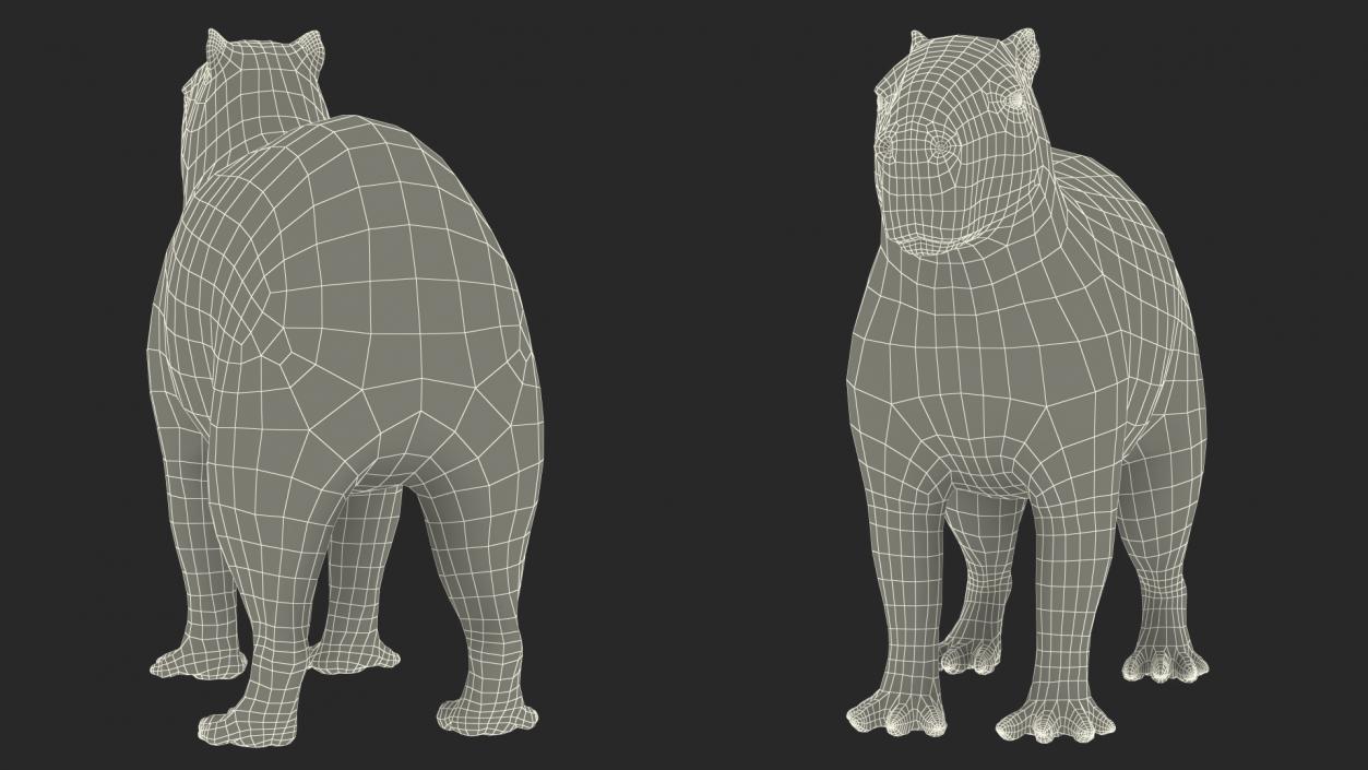 Capybara Rigged for Cinema 4D 3D model