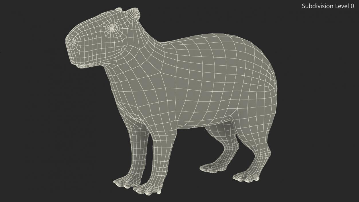 Capybara Rigged for Modo 3D model