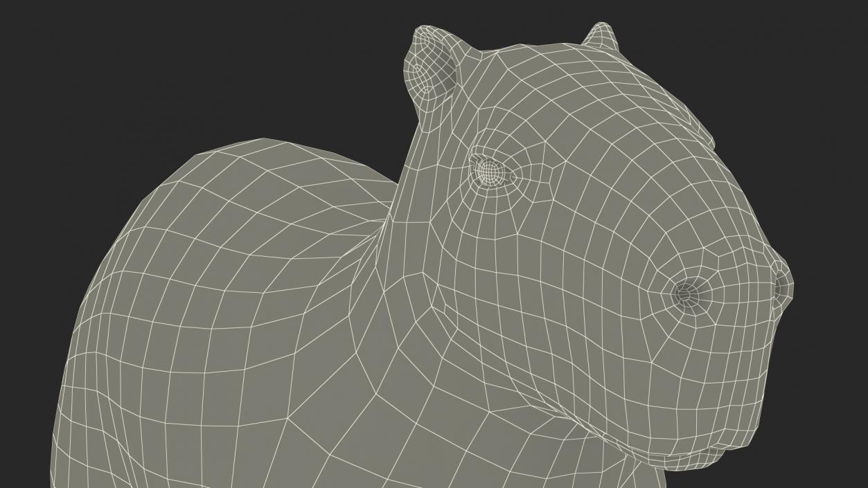 Capybara Rigged for Modo 3D model