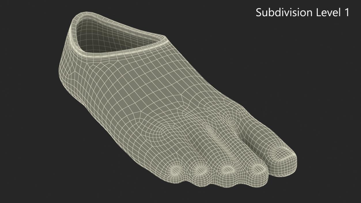 3D Rubber Foot for Prosthesis